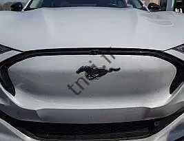 فورد در کاهش قیمت خودروهای الکتریکی از تسلا پیروی می کند